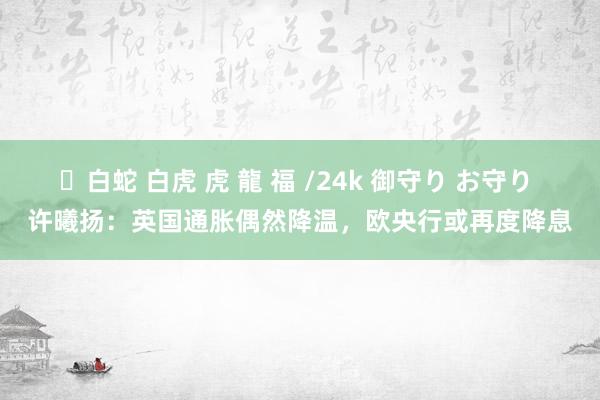 ✨白蛇 白虎 虎 龍 福 /24k 御守り お守り 许曦扬：英国通胀偶然降温，欧央行或再度降息