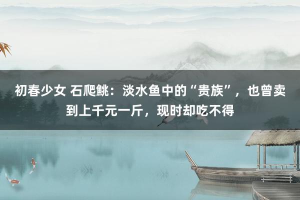 初春少女 石爬鮡：淡水鱼中的“贵族”，也曾卖到上千元一斤，现时却吃不得