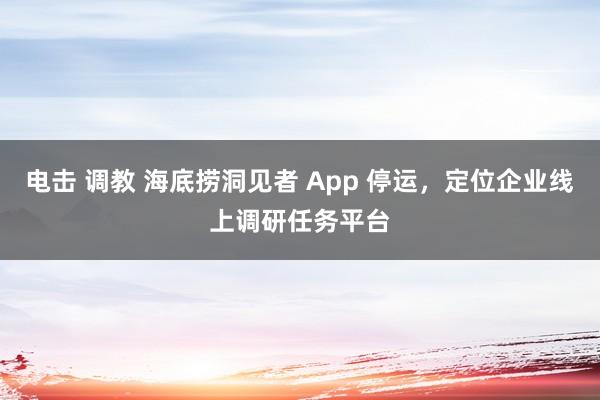 电击 调教 海底捞洞见者 App 停运，定位企业线上调研任务平台