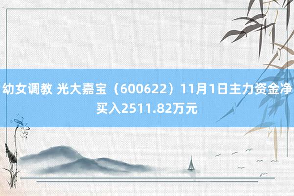 幼女调教 光大嘉宝（600622）11月1日主力资金净买入2511.82万元