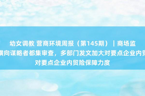 幼女调教 营商环境周报（第145期）｜商场监管总局程序横向谋略者都集审查，多部门发文加大对要点企业内贸险保障力度
