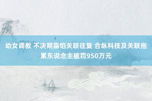 幼女调教 不决期露馅关联往复 合纵科技及关联拖累东说念主被罚950万元