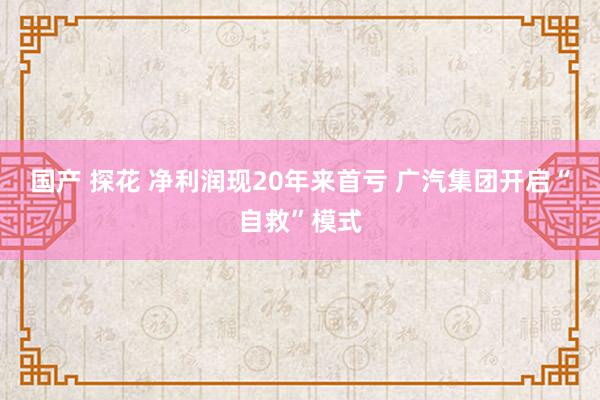 国产 探花 净利润现20年来首亏 广汽集团开启“自救”模式